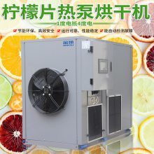 高效節能的果蔬烘干機 檸檬片、藍莓、芒果、檳榔等水果干制作利器