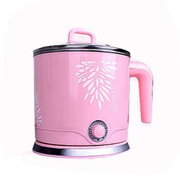 艾納優(yōu)a165電煮鍋 多用途與安全的時(shí)尚廚房好幫手